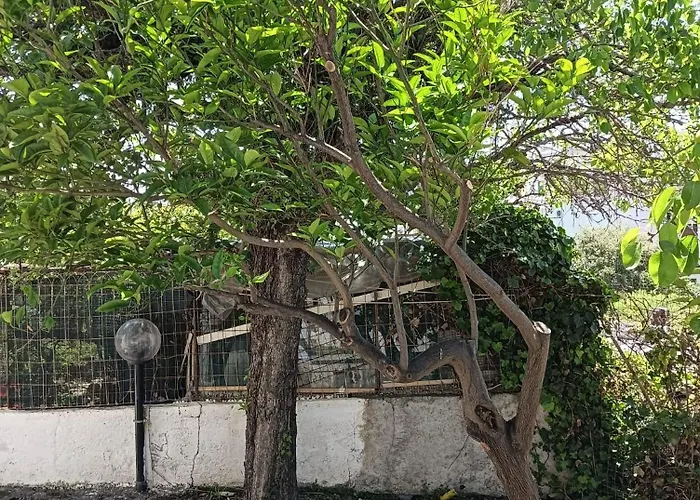 بيت للعطل Sunfra Retreat *